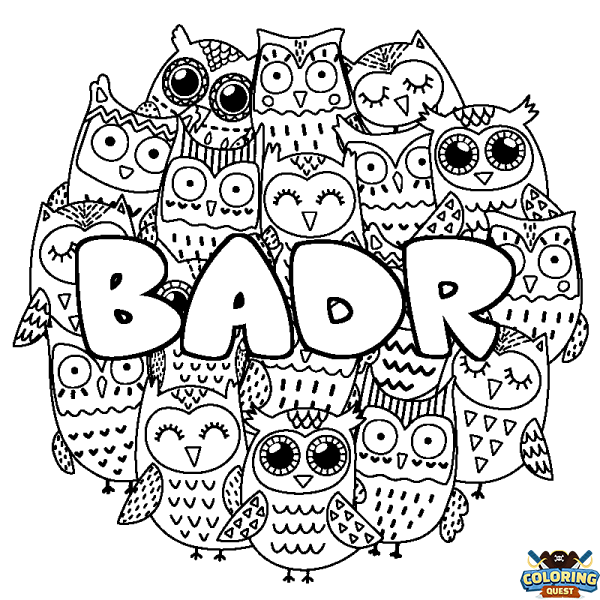 Coloring page first name BADR - Owls background