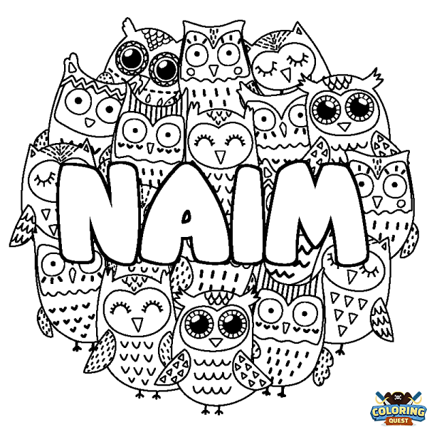 Coloring page first name NAIM - Owls background