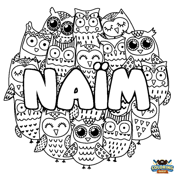 Coloring page first name NA&Iuml;M - Owls background