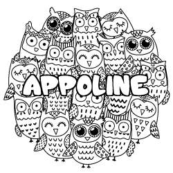APPOLINE - Owls background coloring