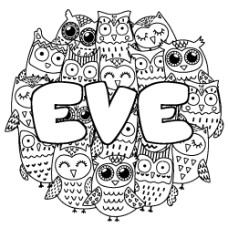 EVE - Owls background coloring