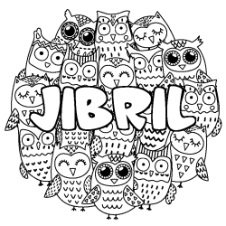 Coloring page first name JIBRIL - Owls background