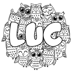 LUC - Owls background coloring