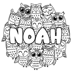 Coloring page first name NOAH - Owls background