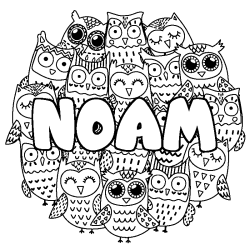 Coloring page first name NOAM - Owls background