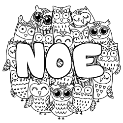 Coloring page first name NOE - Owls background