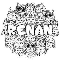 RENAN - Owls background coloring