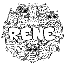 REN&Eacute; - Owls background coloring