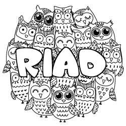 RIAD - Owls background coloring