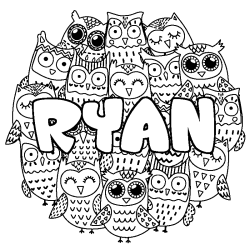 RYAN - Owls background coloring