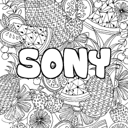 SONY - Fruits mandala background coloring